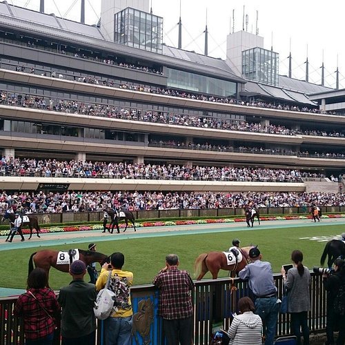 🏇 후쿠시마 경마장 이미지 7